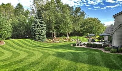 Beautifully cut lawn.